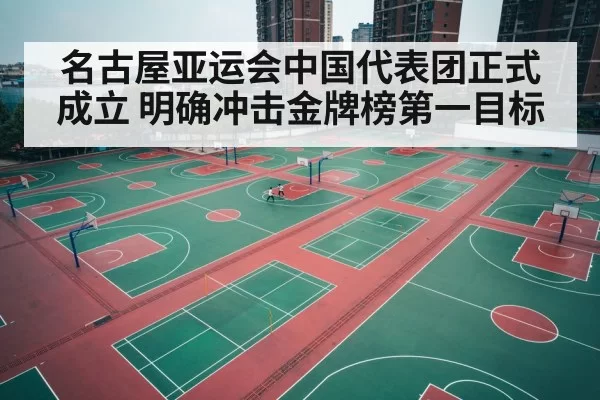 chinese athletes team